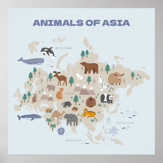 Poster Mapa Ilustrado de Animais da Ásia (Frente)