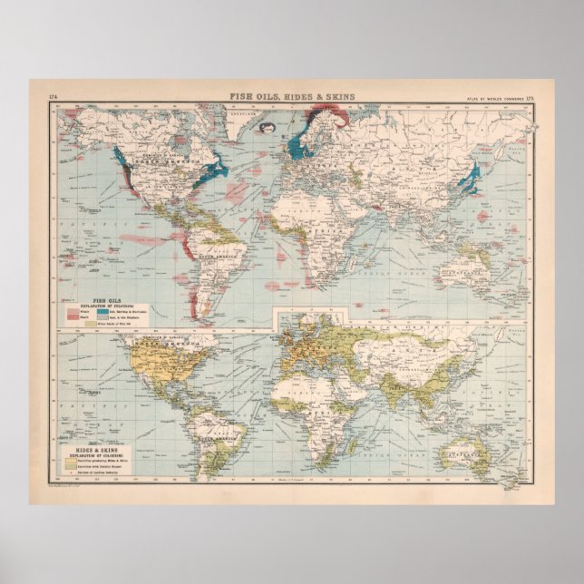 Poster Mapa Mundial da Baleia (1907) (Frente)
