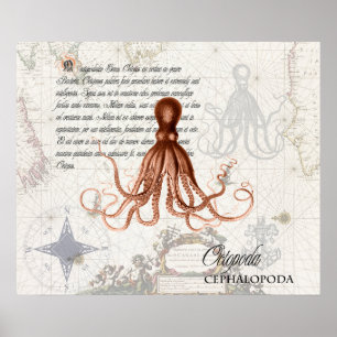 Poster Mapa Náutico do Octopus Vermelho Vintage