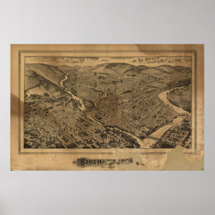 Póster Mapa panorâmico antigo de Binghamton New York 188