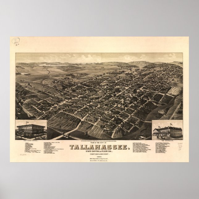 Póster Mapa Pictórico de Tallahassee FL (1885) (Frente)