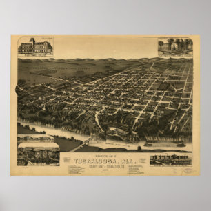 Poster Mapa pictórico do vintage de Tuscaloosa Alabama