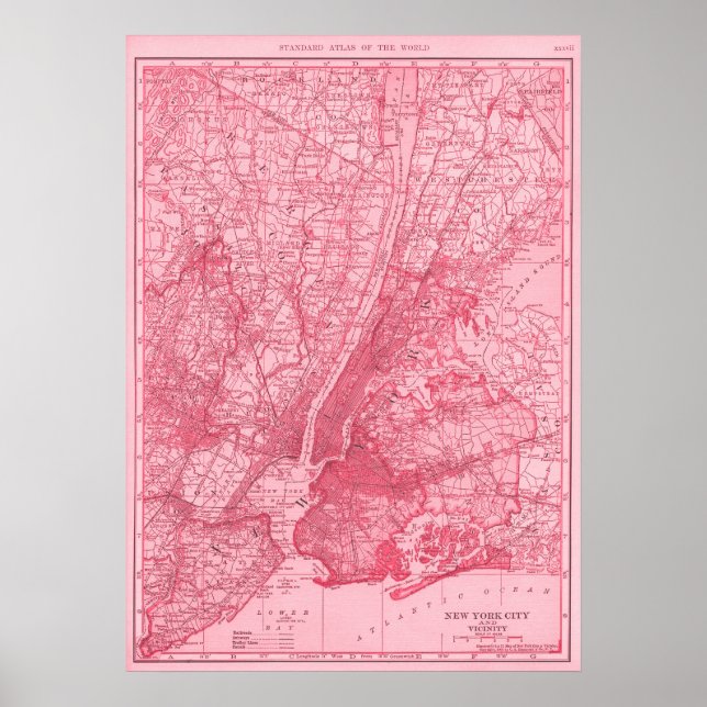 Poster Mapa rosa de Nova Iorque (Frente)