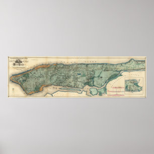 Póster Mapa sanitário e topográfico da Nova Iorque