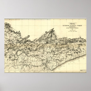 Poster Mapa superior da floresta 1920 nacional