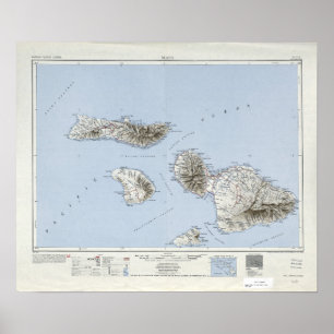 Póster Mapa Topográfico de Vintage Maui Hawaii