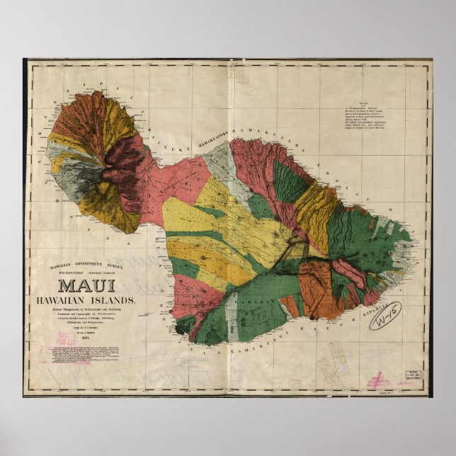 Poster Mapa Vintage de Maui Hawaii (1885) (Frente)