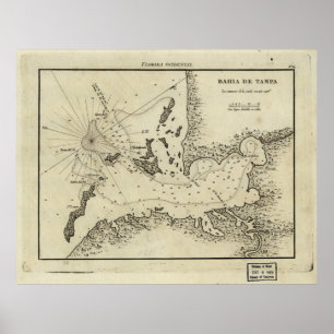 Póster Mapa Vintage de Tampa Florida (1809)