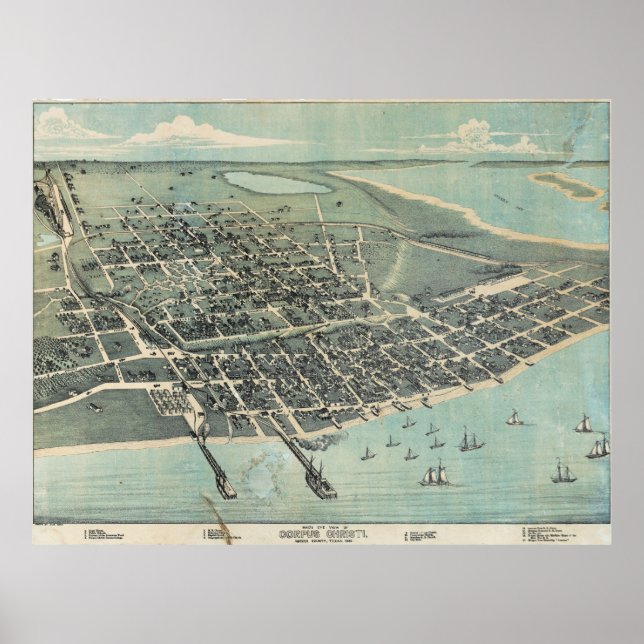 Poster Mapa visual de pássaro do Corpus Christi Texas 188 (Frente)