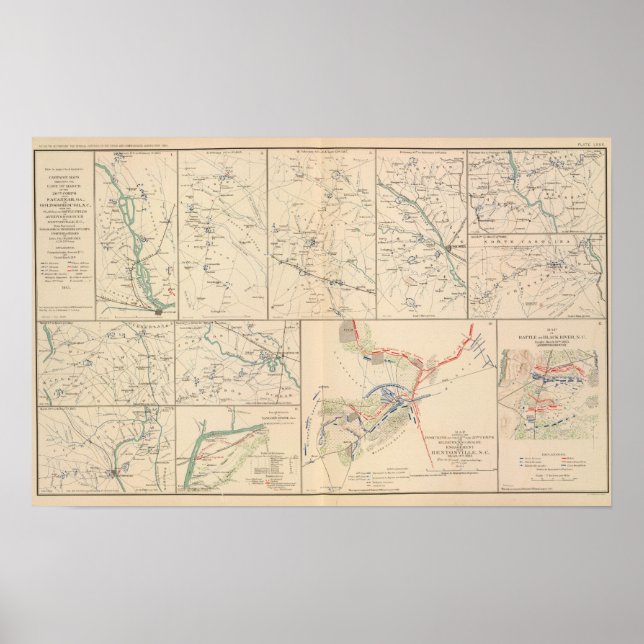 Póster Mapas da campanha Savannah Goldsborough (Frente)