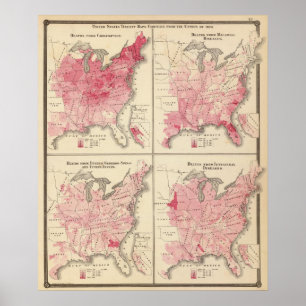 Póster Mapas da vitalidade dos Estados Unidos