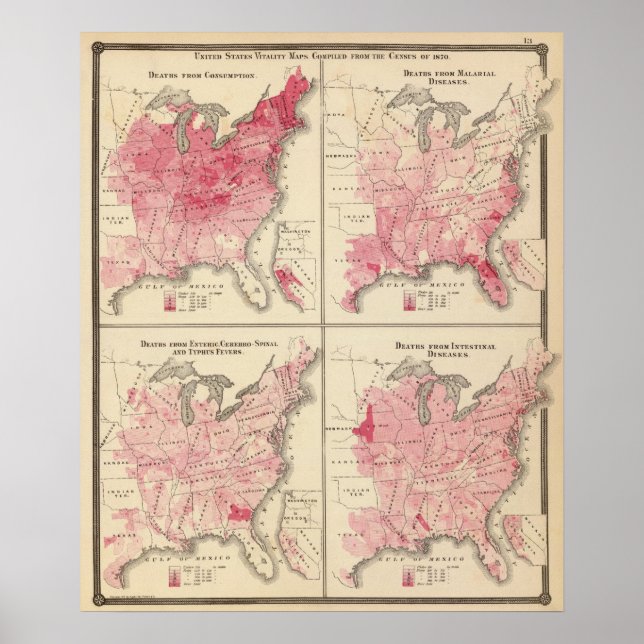 Póster mapas de vitalidade dos Estados Unidos (Frente)
