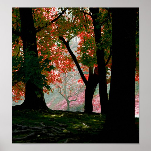 Póster Mapeamento (Frente)