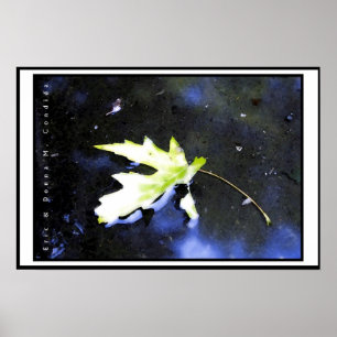 Poster Maple Leaf I