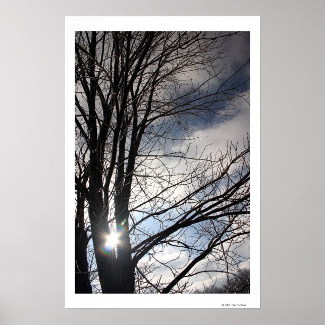 Póster Maple Sky (Frente)