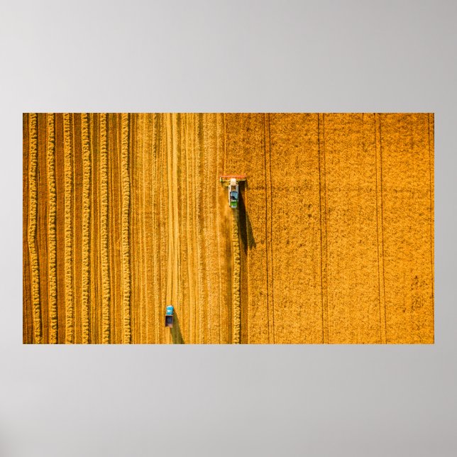 Poster Máquina de Harvester trabalhando em campo. Escarpa (Frente)