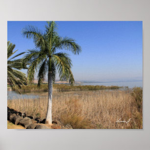 Póster Mar de Galillee Israel: Tela impressa