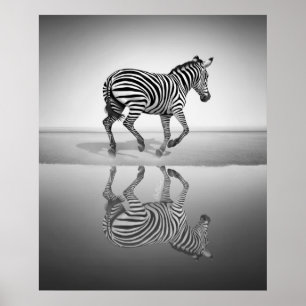 Poster Mar de Liberdade