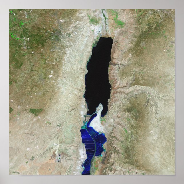 Póster Mar de Morto (Frente)