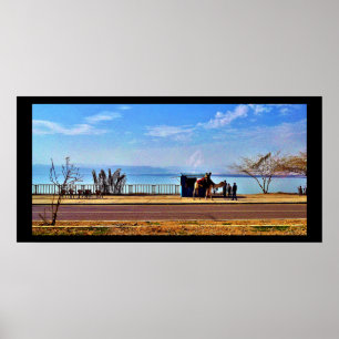 Poster Mar de Mortos