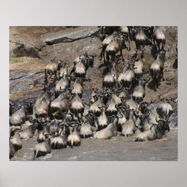 Poster mara wilbeest (Frente)