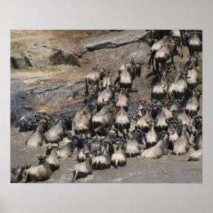 Poster mara wildebeest