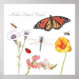 Poster Maravilhas da Mãe Natureza