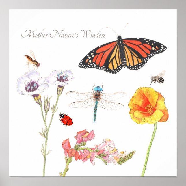 Poster Maravilhas da Mãe Natureza (Frente)