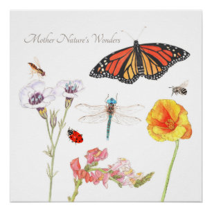 Póster Maravilhas da Mãe Natureza