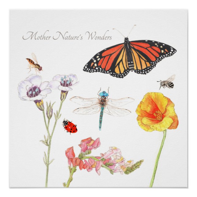 Póster Maravilhas da Mãe Natureza (Frente)