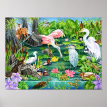 Maravilhas da zona úmida