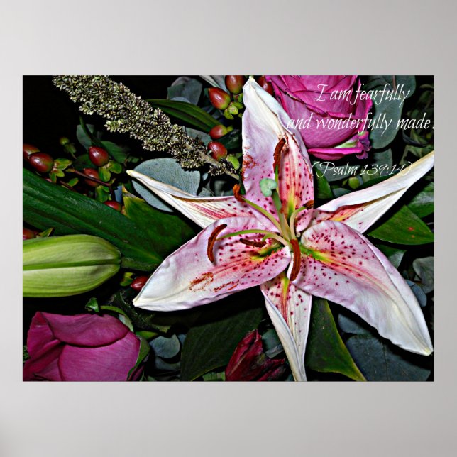 Poster maravilhosamente feito (Frente)