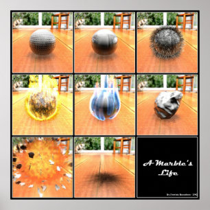 Póster Marble's Life