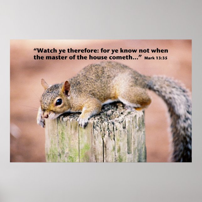 Poster Marca 13 (Frente)