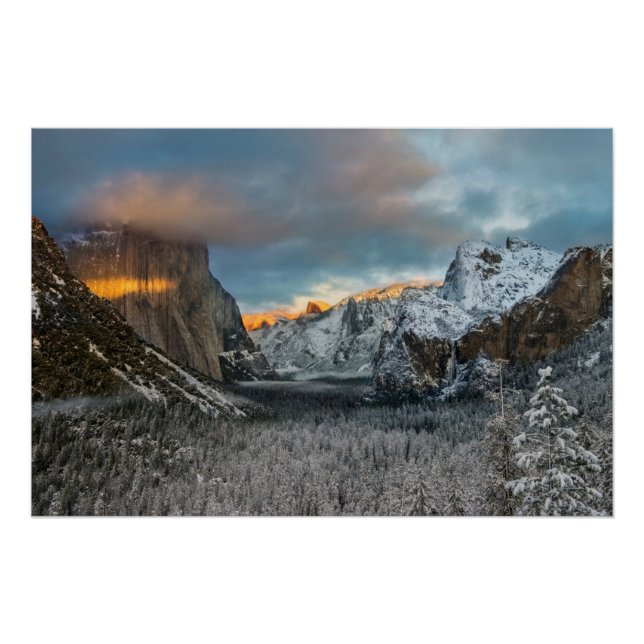 Póster Marca de inverno (Frente)