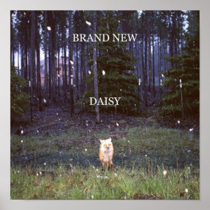 Poster Marca Nova Margarida