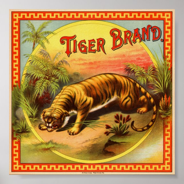 Poster Marca Tigre 1900 (Frente)