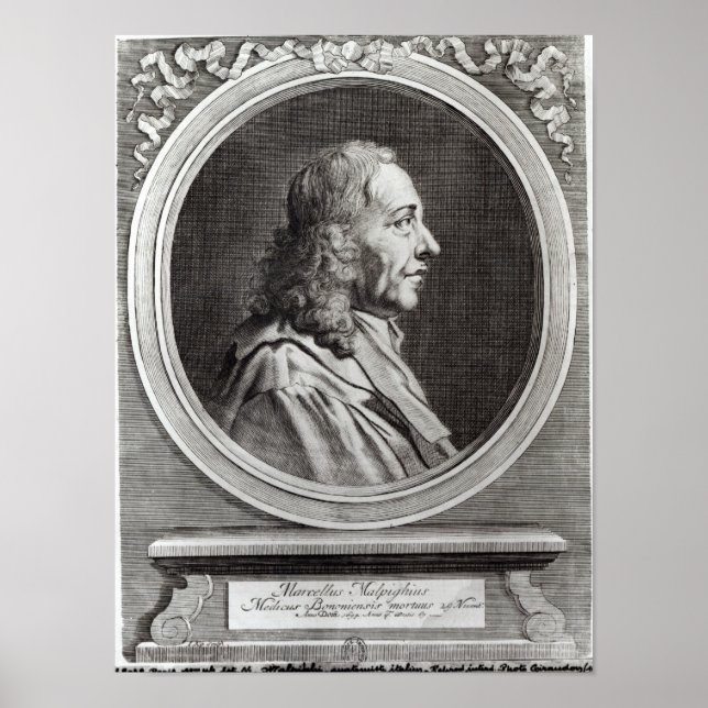 Póster Marcello Malpighi, 67 anos, 1694 (Frente)