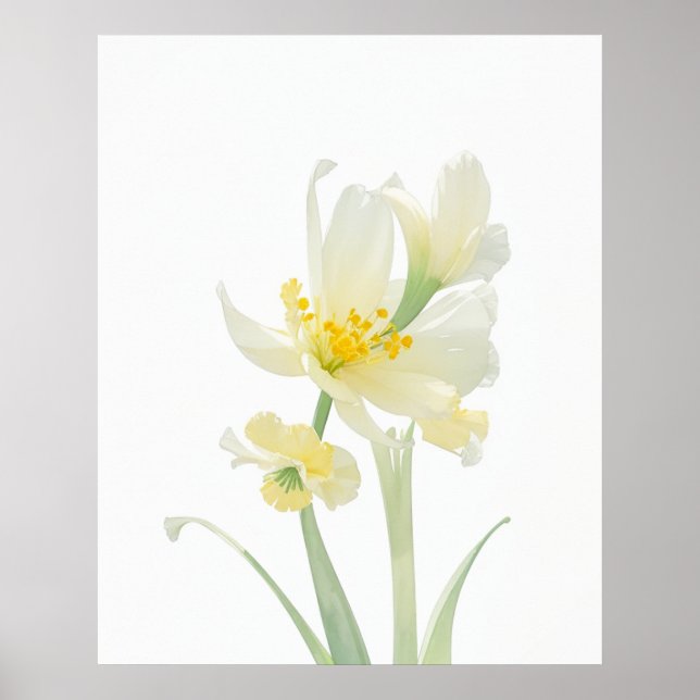 Poster March Jonquil Birth Flower (Frente)