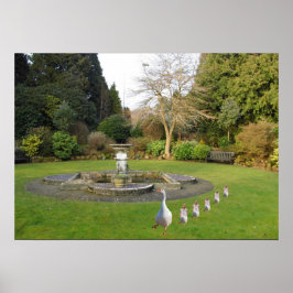 Poster Marcha de Ganso e Goslings