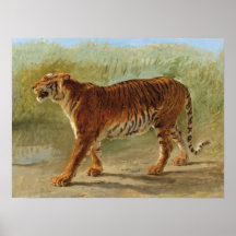 Marcha do Tigre Real (por Rosa Bonheur)