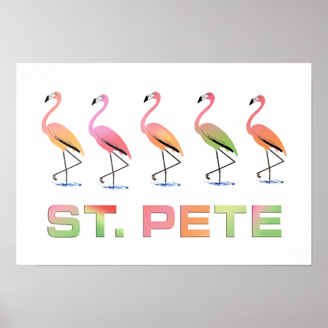 Póster Marcha dos Flamingos Tropicais - Pete Rua (Frente)