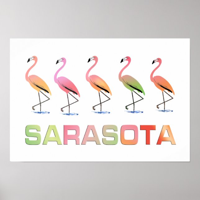 Poster Marching Flamingos Sarasota (Frente)
