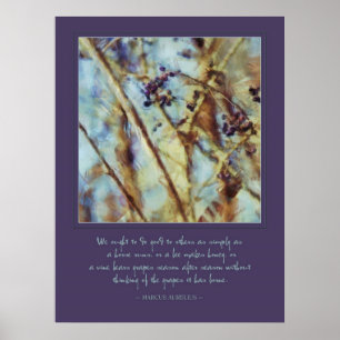 Poster Marcus Aurelius "faz bom a outro" cita