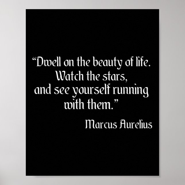 Poster Marcus Aurelius Shirt Dwell Sobre A Bela Li (Frente)