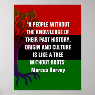 Poster Marcus Garvey TREE SEM RAÍZES