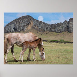 Poster Mare & Colt na Cratera Vulcânica de Rano Raraku