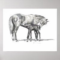 Mare e Foal