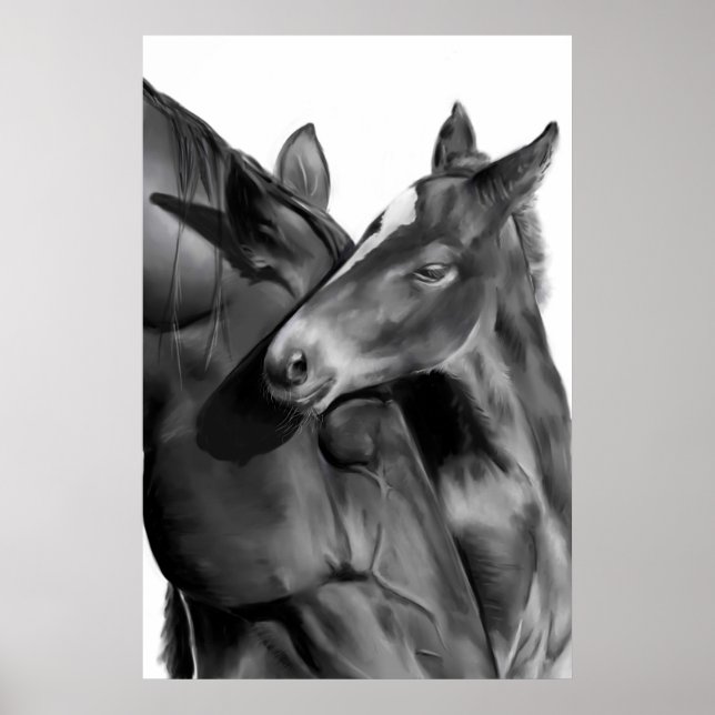 Poster Mare e Foal em Preto e Branco (Frente)