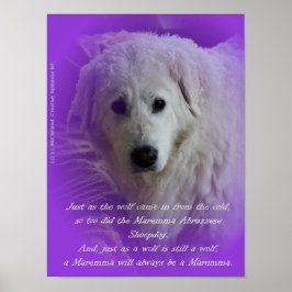 Poster Maremma e o lobo
